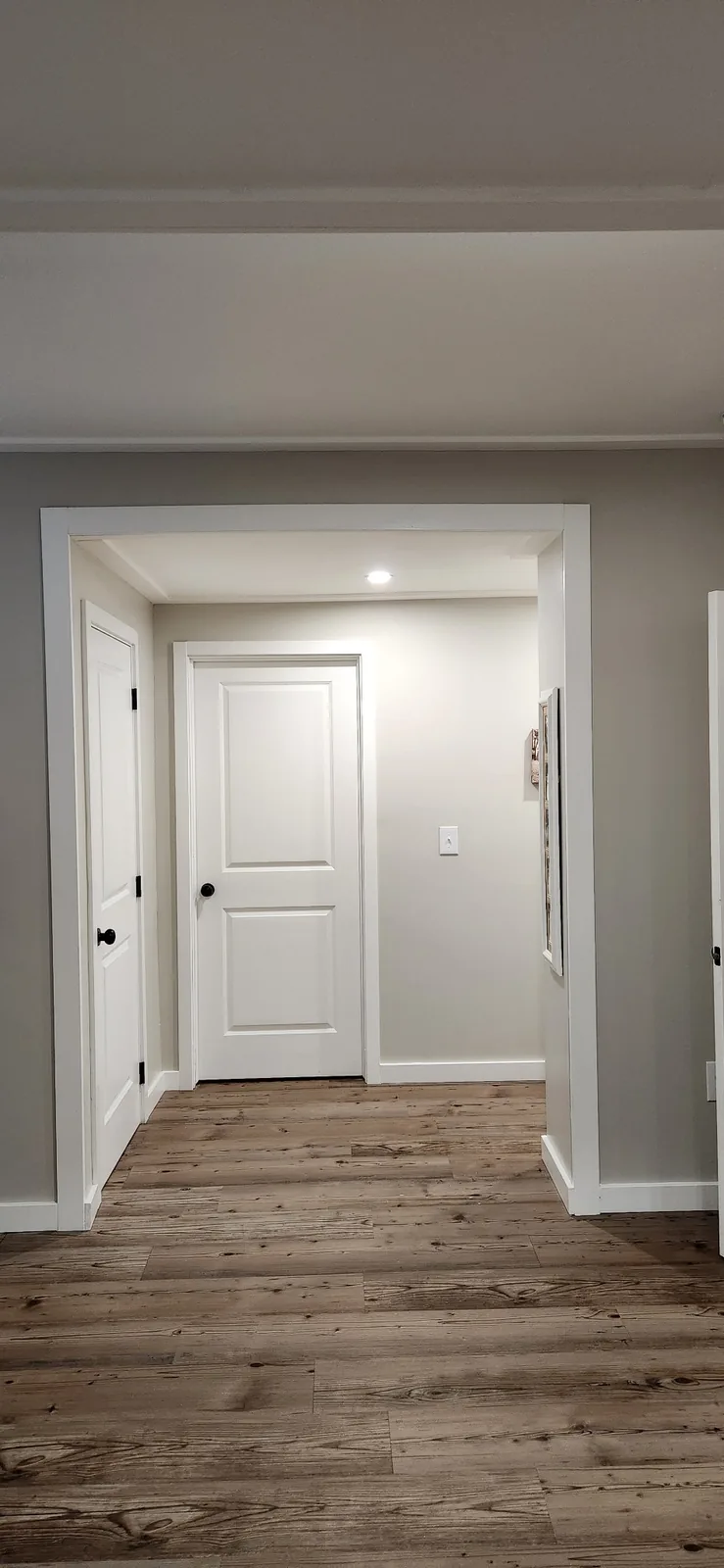Finished basement hallway with white doors, trim and luxury vinyl plank flooring
